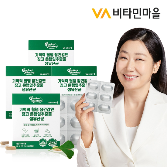 비타민마을 기억력 혈행 장건강엔 징코 은행잎추출물 생유산균 (생균보호 ALUALU포장) 4박스