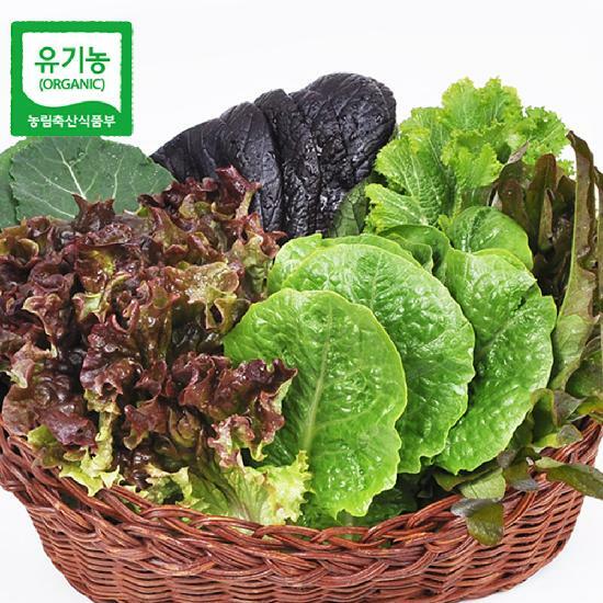 당일수확 발송 유기농 모듬 쌈채소(야채) 600g