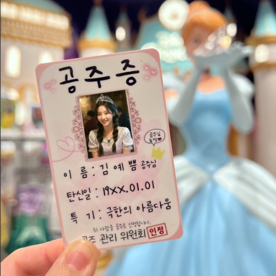 [패션플러스[53374]]공주증 만들기 커스텀 공주 친구 선물 신박한 킹받는