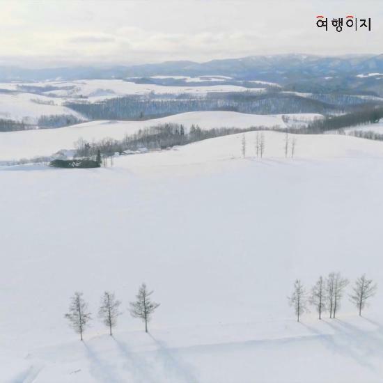 [특집전]교원투어 프라임 최적의 동선 북해도 4일! 프리미엄 국적기/5성급호텔/No옵션/기사가이드경비 포함/온천/게뷔페포함 전일정식사 5