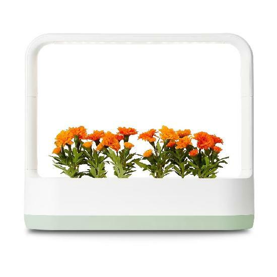 LG 틔운 L023M1 배송무료