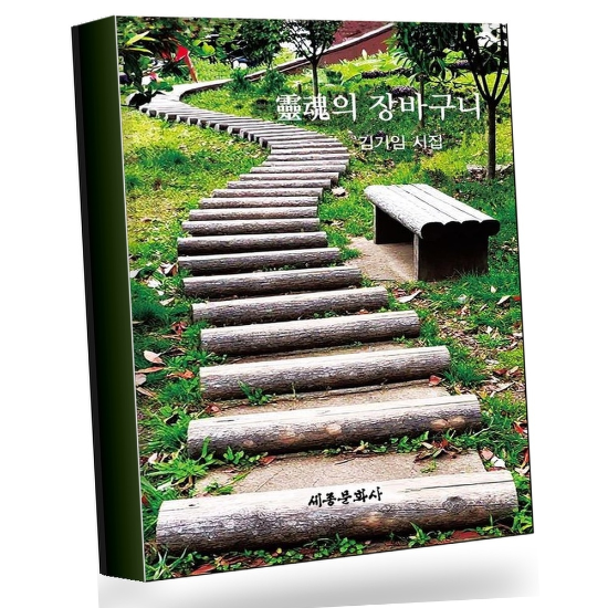 [그로우북]영혼의 잘바구니(세종문화사 작품선 226) 권장도서