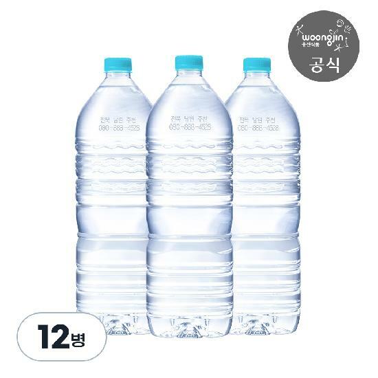 웅진식품 가야G워터 무라벨 생수 2L X 12병