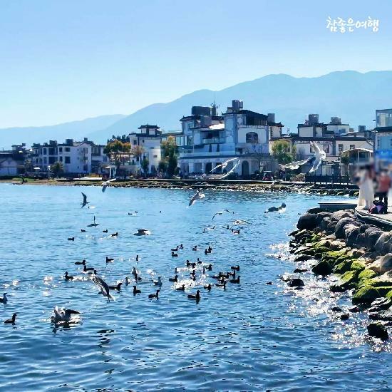 [여행의신세계]참좋은여행 운남성일주(곤명/대리/여강+샹그릴라) 5/6일  노옵션,대한항공 5