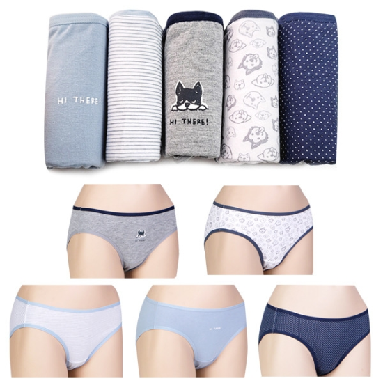 물랑루즈 하이데어 여삼각 면스판 데일리 미디 여성팬티 5매