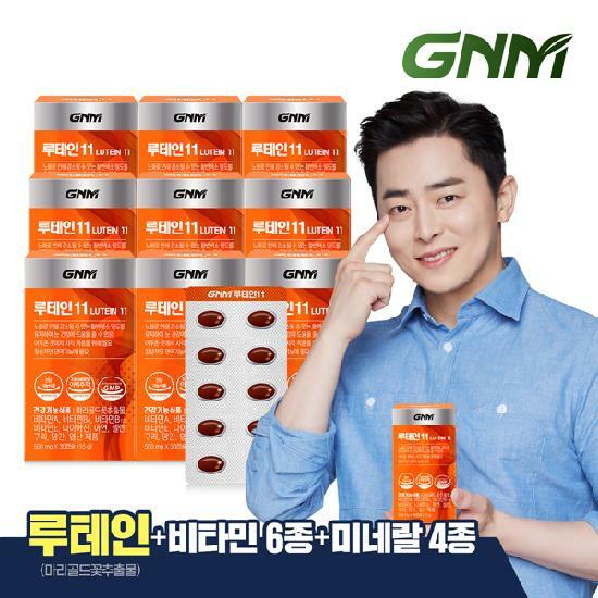 GNM 루테인11 9박스 / 비타민 6종 + 미네랄 4종 눈건강 비타민B 아연 엽산