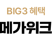 메가위크