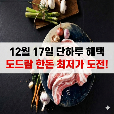 [12/17 10시 쇼핑라이브] 도드람한돈 삼겹살/목심 외 특가