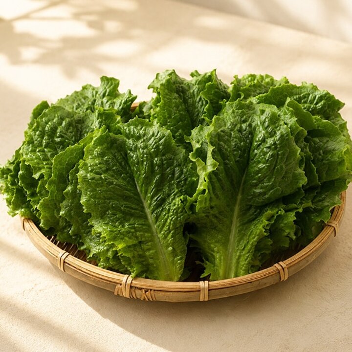GAP인증 농협선별 청상추 1kg