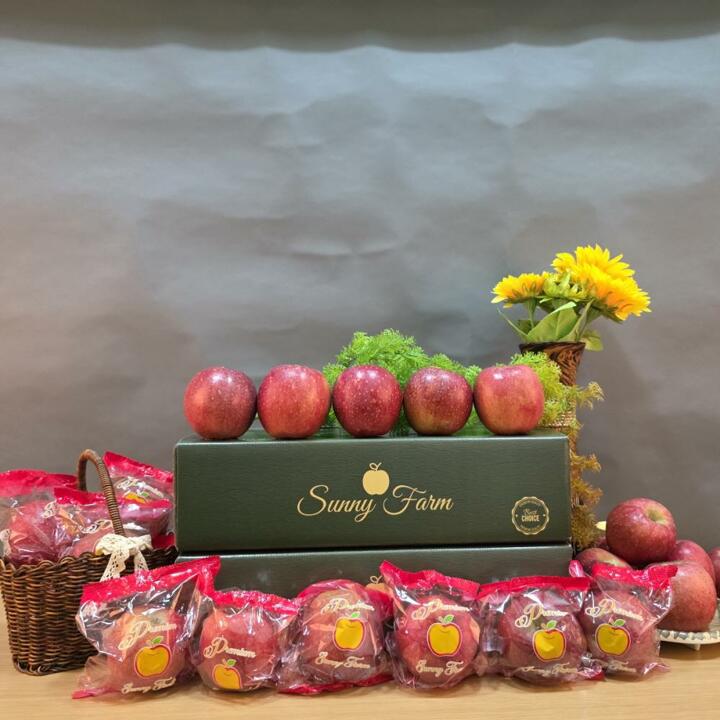 (쓱데이) 감홍세척사과2.7kg * 2박스(과당 250g~375g 내외, 박스당 8~11과)