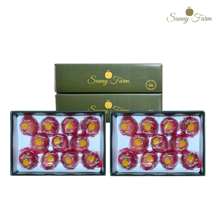 (쓱데이) 감홍세척사과2.7kg * 2박스(과당 250g~375g 내외, 박스당 8~11과)