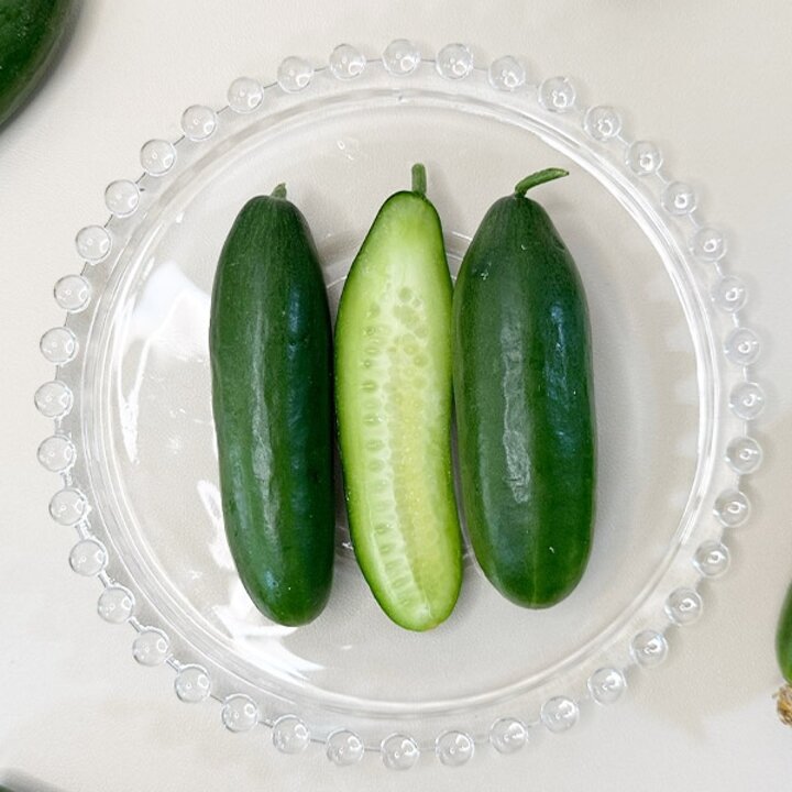 미니오이 1kg