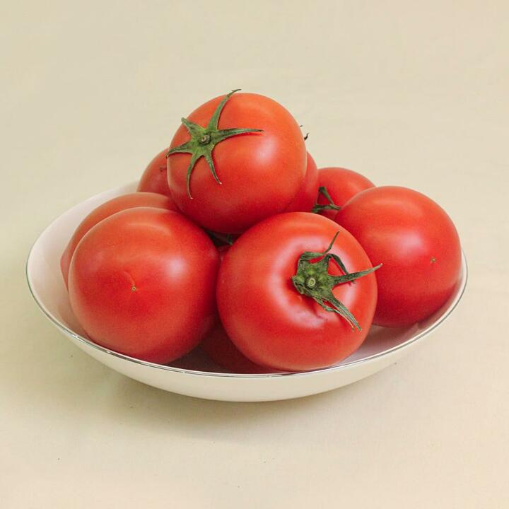 완숙토마토 가성비 못난이 가정용 주스용 랜덤과 10kg