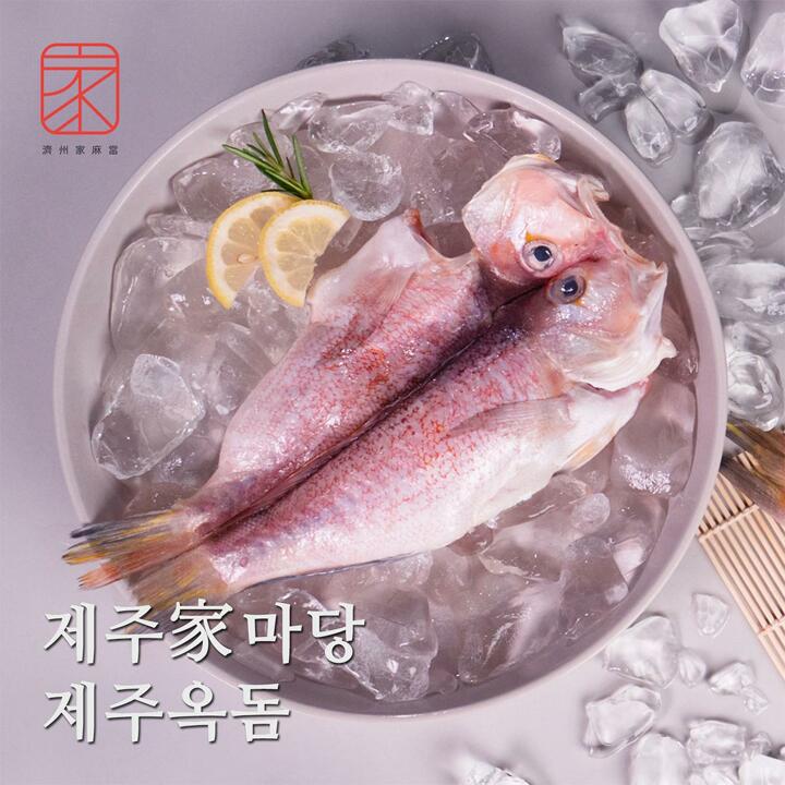 제주가마당 반건조 옥돔 180g x 5팩
