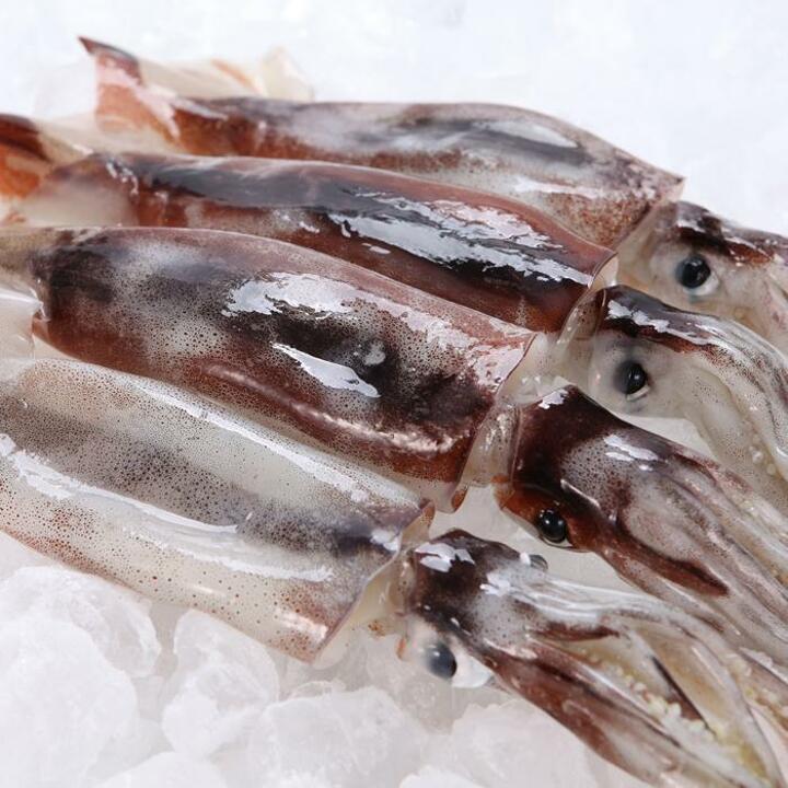 [푸드조아] 손질 통오징어 350g(2미) x 3팩 총 6미/1050g