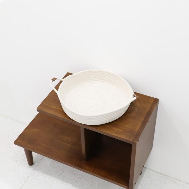 5종면바구니세크