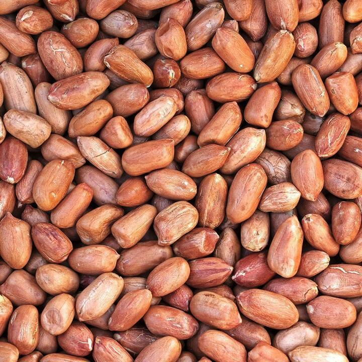 25년산 국내산 여주 햇 생땅콩 500g