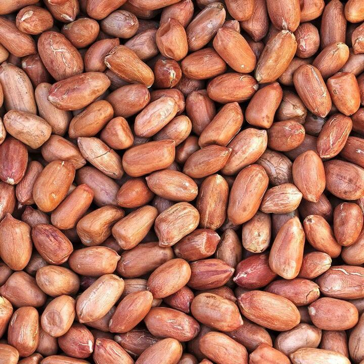 25년산 국내산 여주 햇 생땅콩 1kg