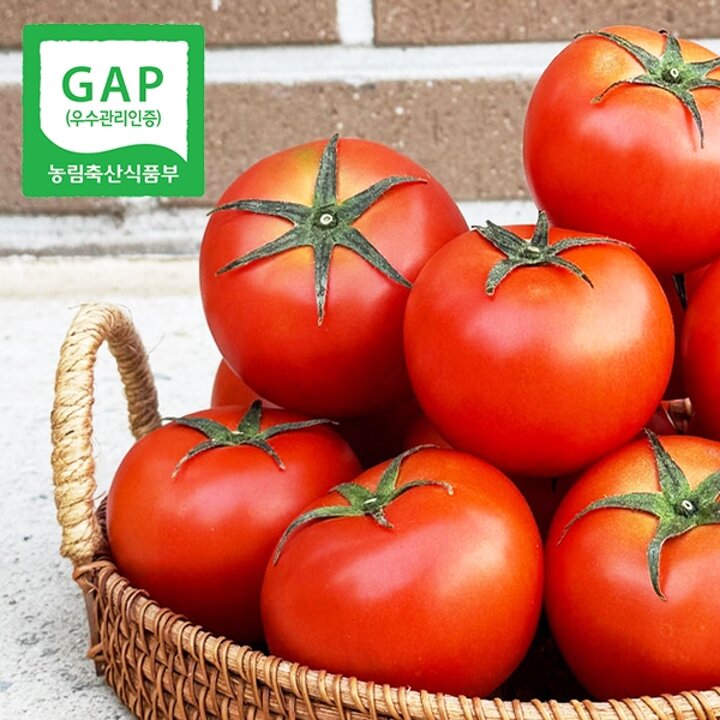 [웰굿][GAP]경북직송 유럽종 완숙 토마토 5kg(랜덤과,주스용)
