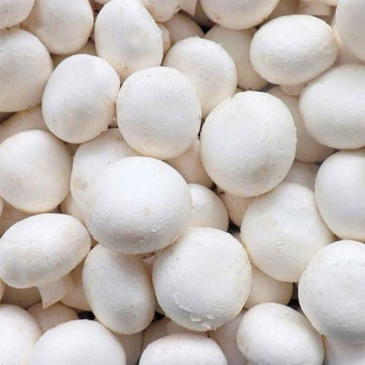 [산지직송] 양송이버섯 못난이 2kg /GAP 인증