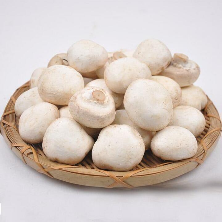 [산지직송] 양송이버섯 못난이 2kg /GAP 인증