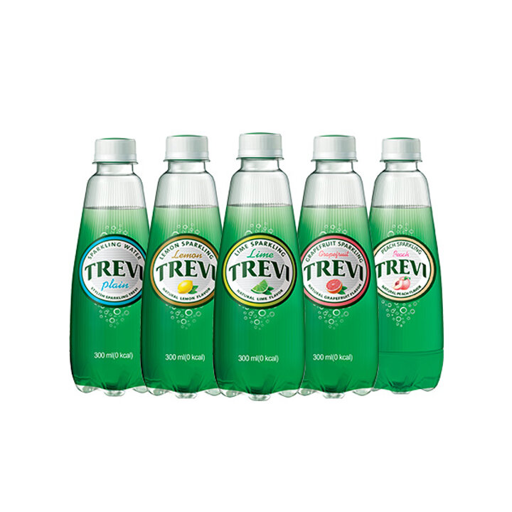 [본사직영] 롯데 트레비 4종 300ml x 40펫