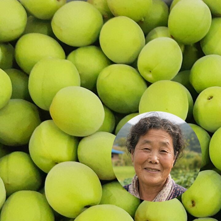 착한농부 국내산 청매실 10kg(왕왕특)