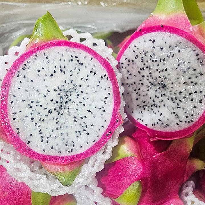 백용과 2.5kg
