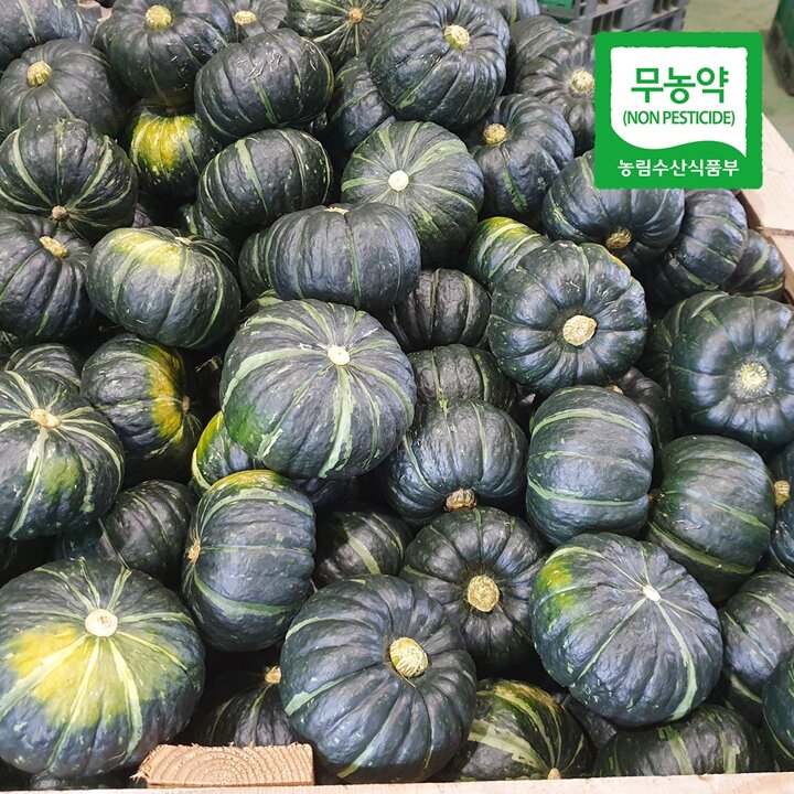 [산지직송] 함평 정대성님의 무농약 햇 미니단호박(밤호박) 2kg