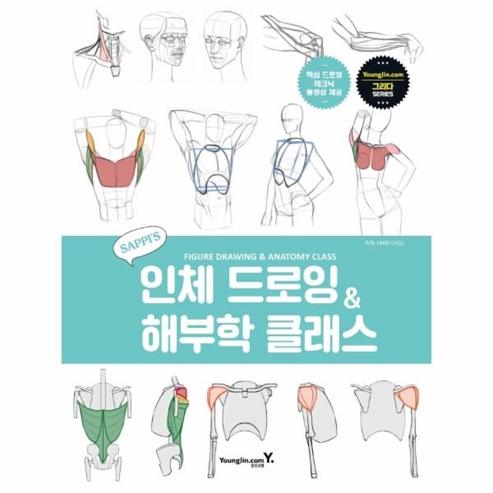 [웅진북센] 새삐의 인체 드로잉 - 해부학 클래스