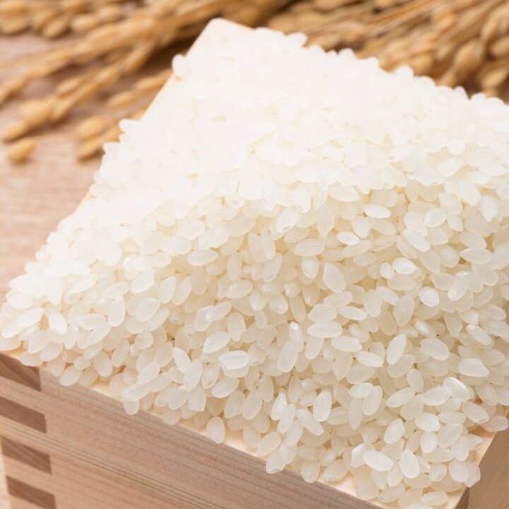 향진주 쌀 백미 10kg 향미 누룽지향 단일품종 상등급