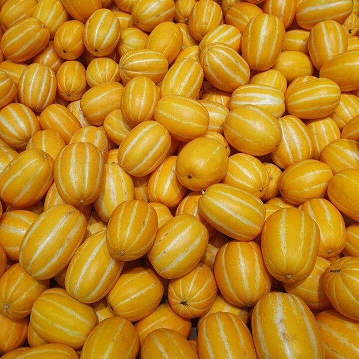 [산지직송] 성주 참외 가정용 1kg (혼합과/실중량)