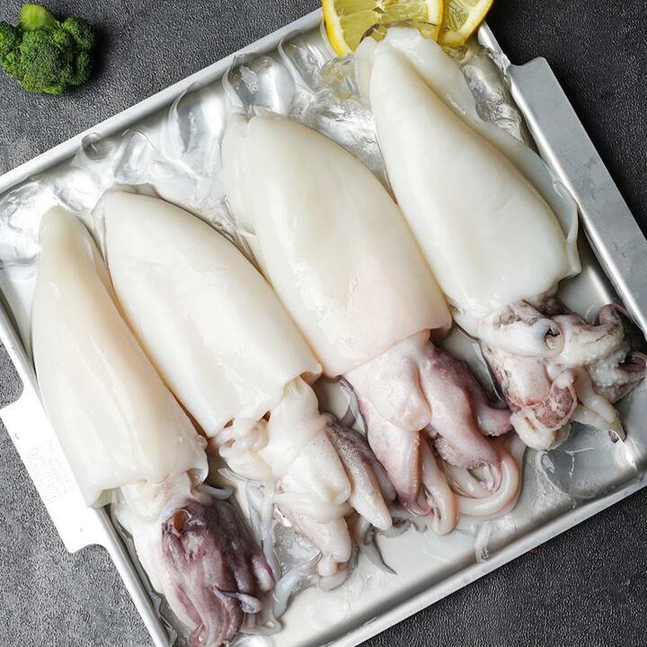 손질 통 갑 오징어 세척 자연산 갑 오징어 200gx5팩(10미 소사이즈)