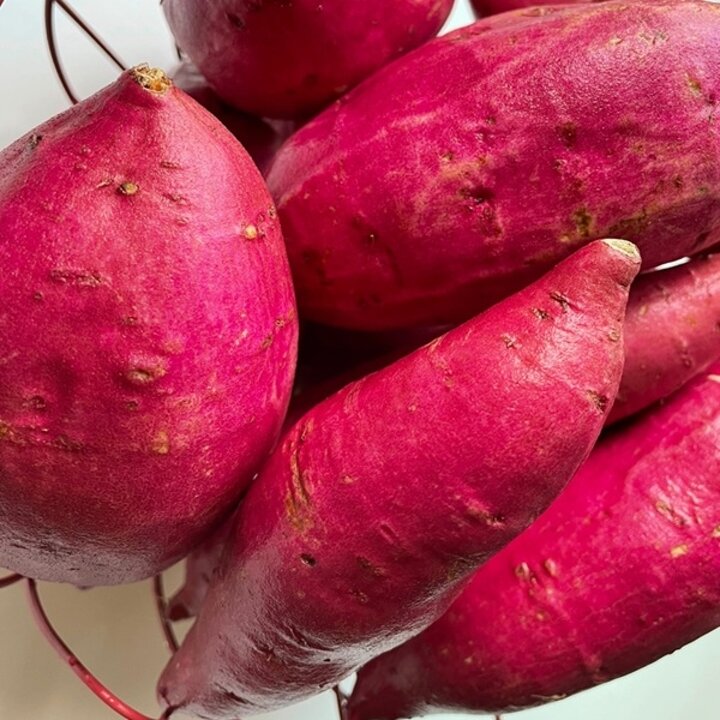 무농약 해남 세척 햇 고구마 5kg(대)