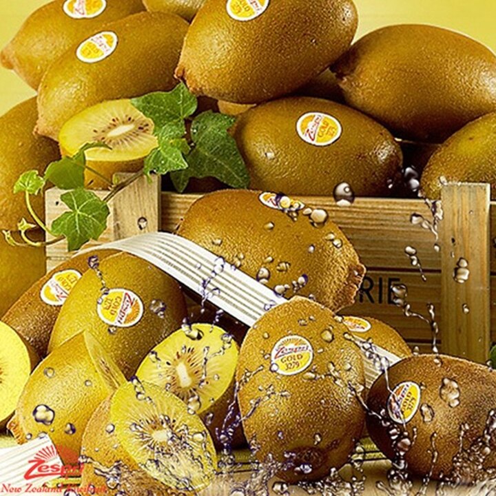 [점보사이즈]제스프리 골드키위 (2.8kg 내외,19-21입)