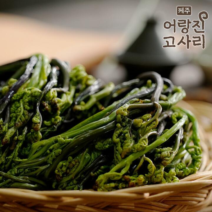[제주어랑진]26년 제주 한라산 햇 고사리 300g x 4팩