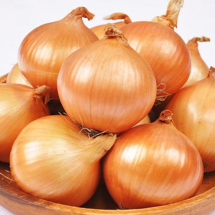 [선별배송] 26년 양파 3kg(소/장아찌용 100g 미만)