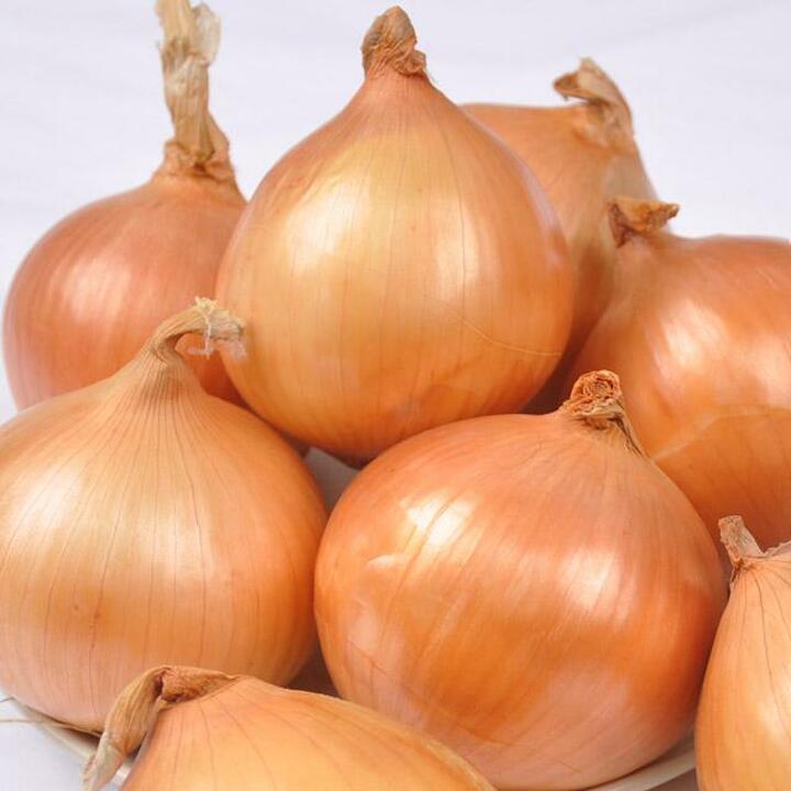 [선별배송] 26년 양파 3kg(소/장아찌용 100g 미만)