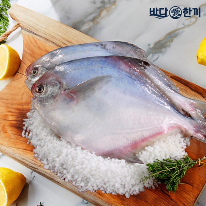 바다애한끼 손질병어 300g 3팩 