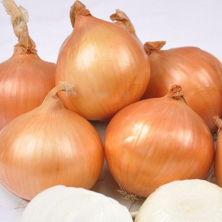 [선별배송] 26년 양파 3kg(특 150g 이상)