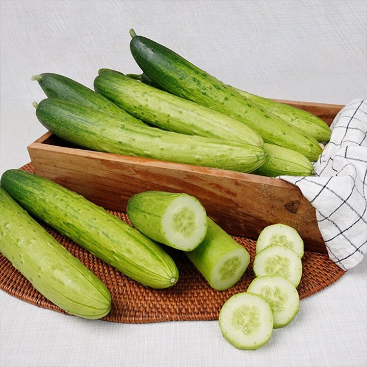 국내산 백다다기 오이 2kg 특