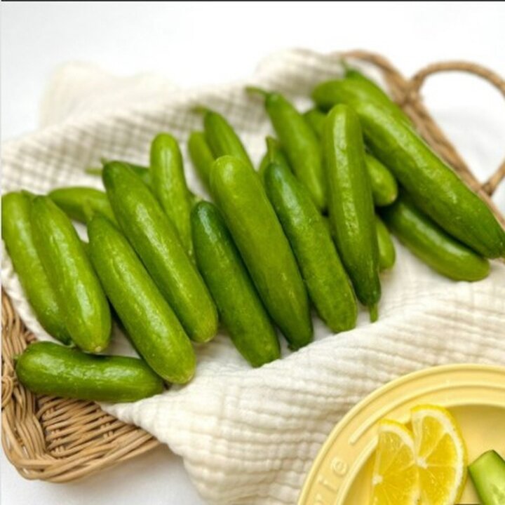 국내산 미니오이 1kg