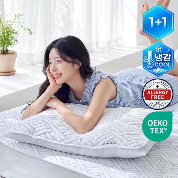 [공동구매][1+1] 아이스 쿨텍스 베개커버 냉감소재 밴딩 덧베개 (2P)
