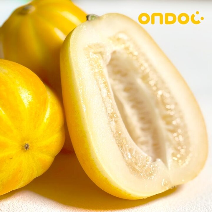 [G][온도씨]아삭아삭 성주 참외 가정용 랜덤과 5kg