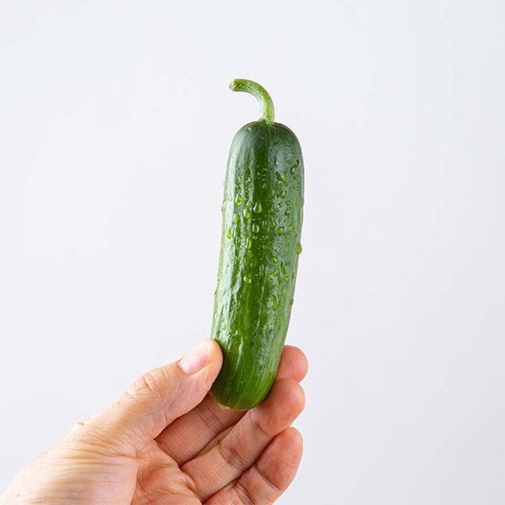 신선한 국내산 미니오이 4kg