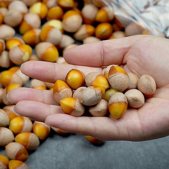 깐은행 1kg(대)x2
