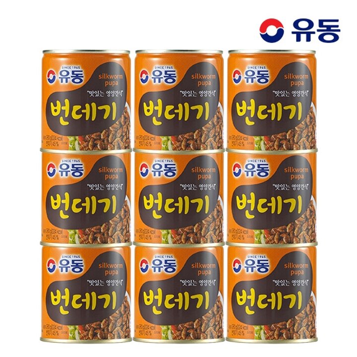 [유동] 번데기 280g x9개