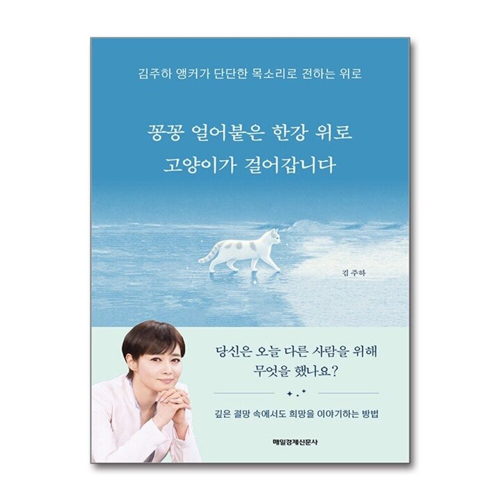 꽁꽁 얼어붙은 한강 위로 고양이가 걸어갑니다 - 김주하 앵커가 단단한 목소리로 전하는 위로