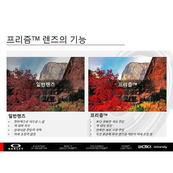 (신세계본점)0OO9494-949401-59 1