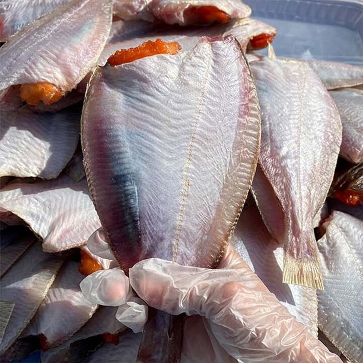 [물맛남] 영덕 손질 반건조 참가자미 특대 6마리(마리당180-200g/개별포장)